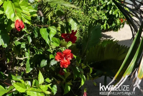 kellerwilliamsbelize-h2127-50
