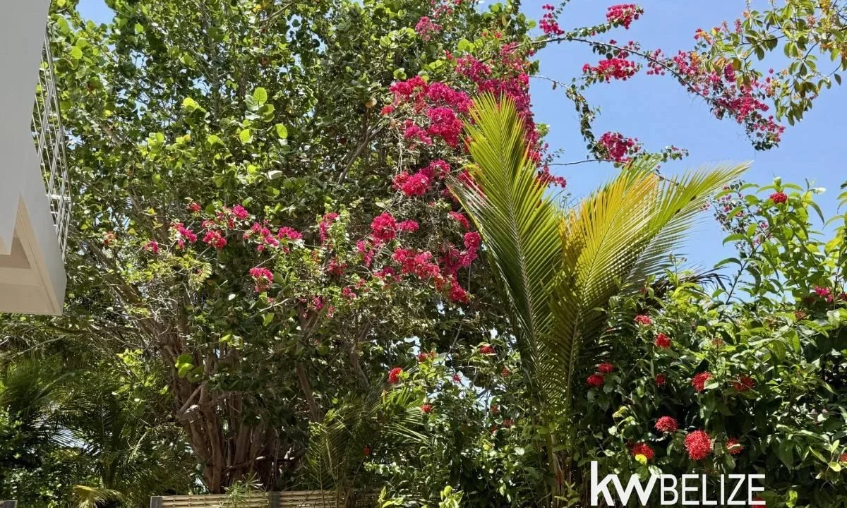 kellerwilliamsbelize-h2130-48