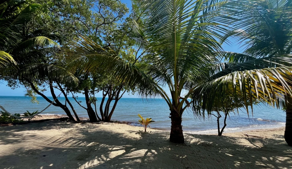 kellerwilliamsbelize-h4002-16