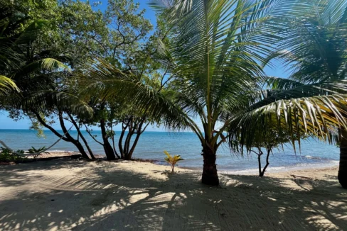kellerwilliamsbelize-h4002-16