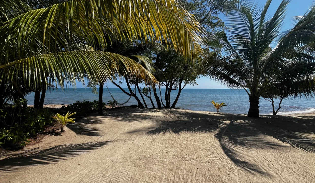 kellerwilliamsbelize-h4002-17