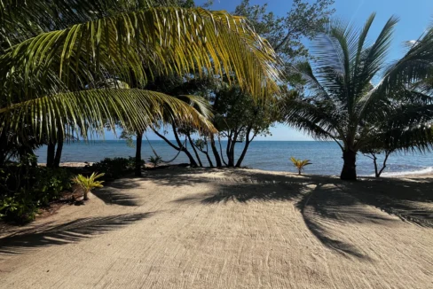kellerwilliamsbelize-h4002-17