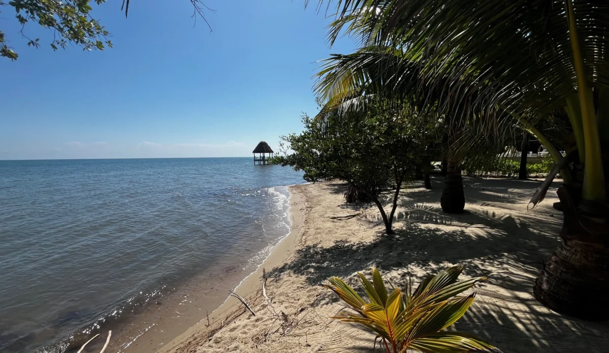kellerwilliamsbelize-h4002-18