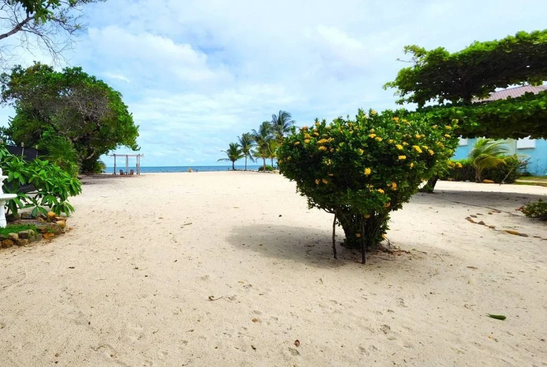 kellerwilliamsbelize-h6000-25