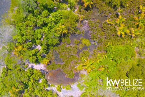 kellerwilliamsbelize-i212405sc-11