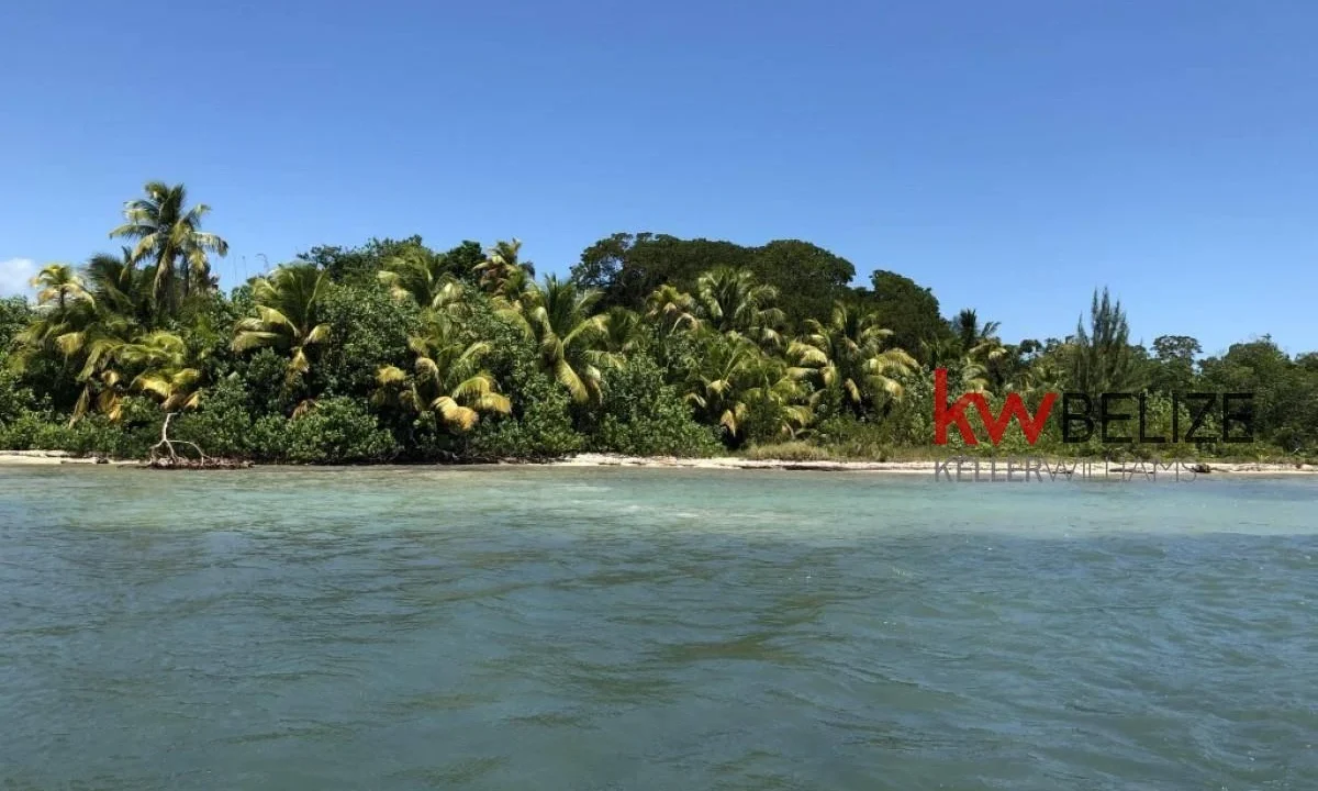 kellerwilliamsbelize-imr041908pg-13