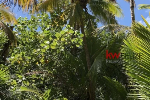 kellerwilliamsbelize-imr041908pg-15