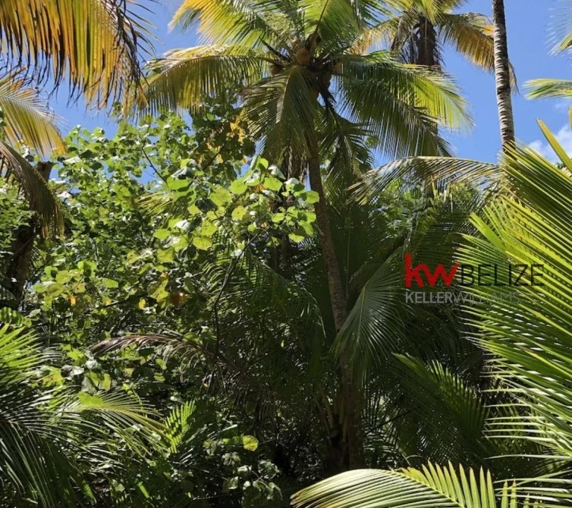 kellerwilliamsbelize-imr041908pg-15