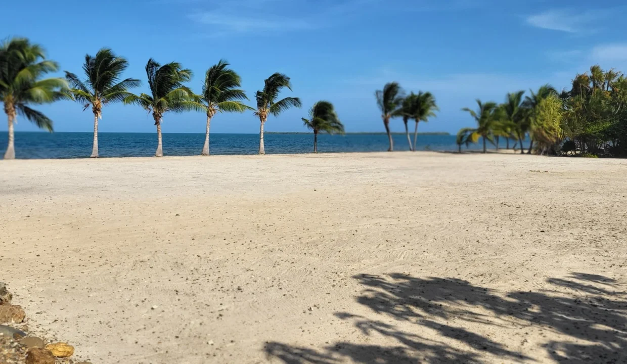 kellerwilliamsbelize-l1025-02
