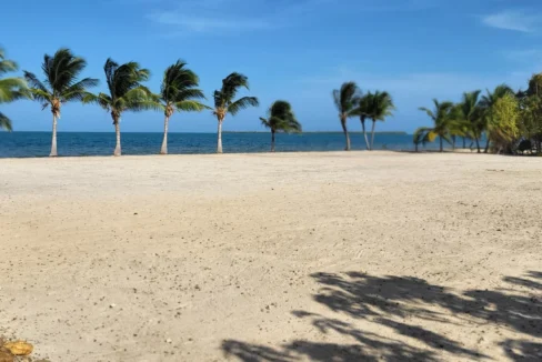 kellerwilliamsbelize-l1025-02