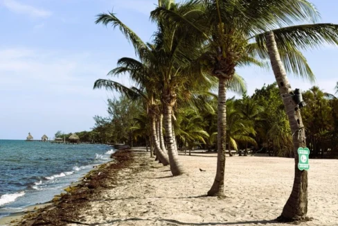 kellerwilliamsbelize-l1025-03