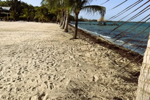 kellerwilliamsbelize-l1025-33