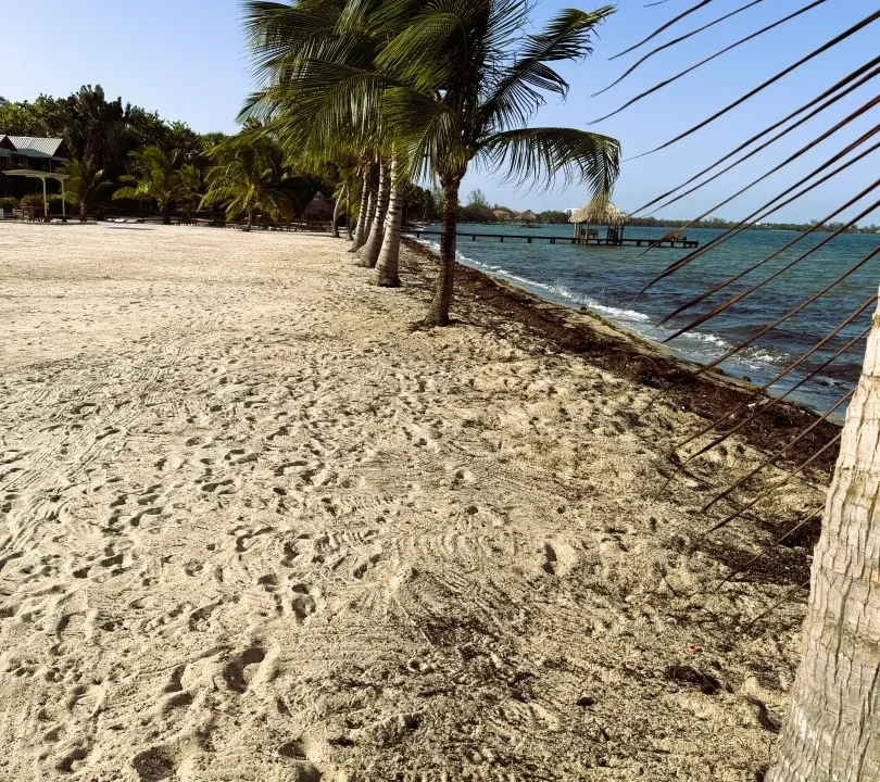 kellerwilliamsbelize-l1025-33
