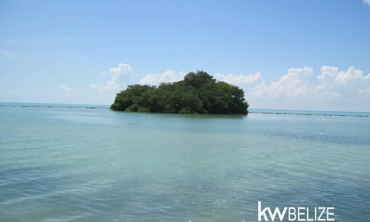 kellerwilliamsbelize-l112509cz-04