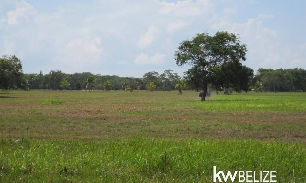 kellerwilliamsbelize-l112509cz-05