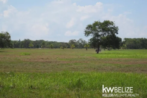kellerwilliamsbelize-l112509cz-05