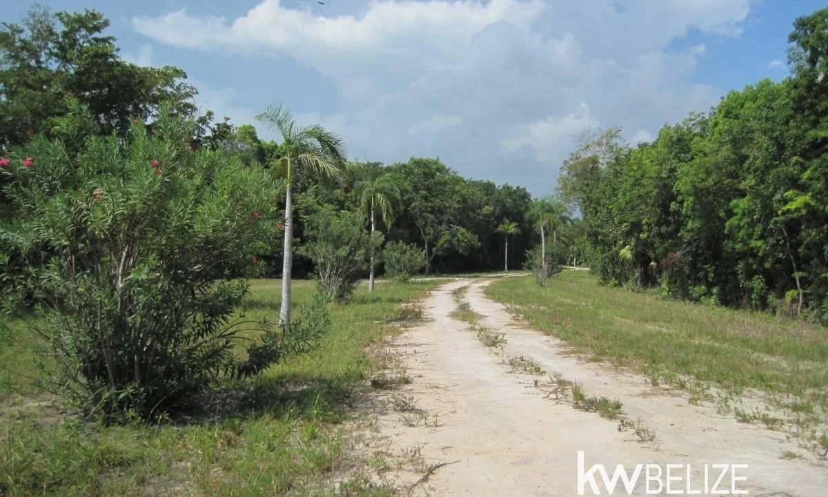 kellerwilliamsbelize-l112509cz-06
