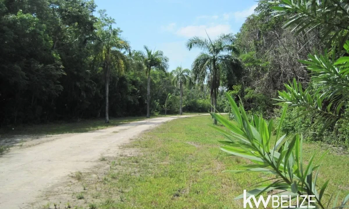 kellerwilliamsbelize-l112509cz-07
