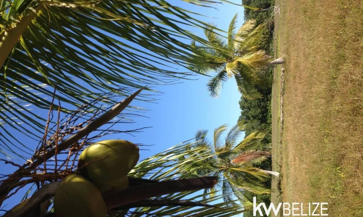 kellerwilliamsbelize-l112509cz-11
