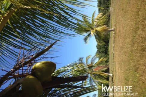 kellerwilliamsbelize-l112509cz-11