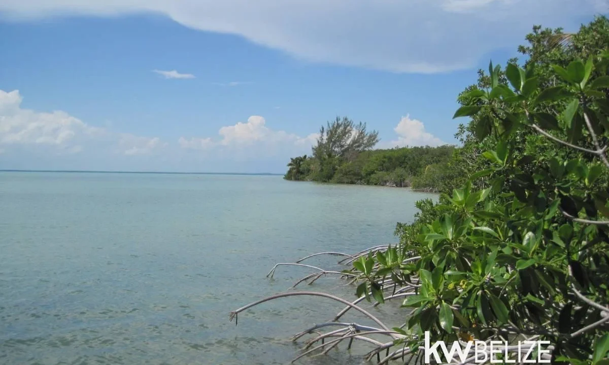kellerwilliamsbelize-l112509cz-19