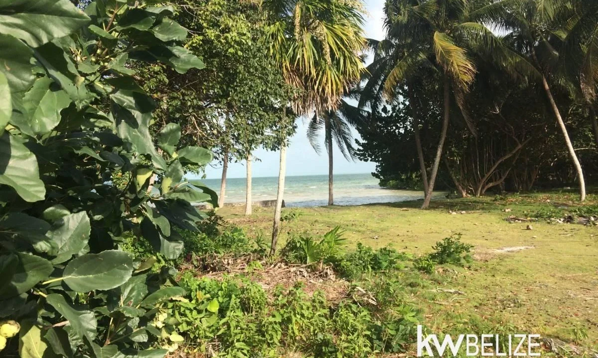 kellerwilliamsbelize-l112509cz-20