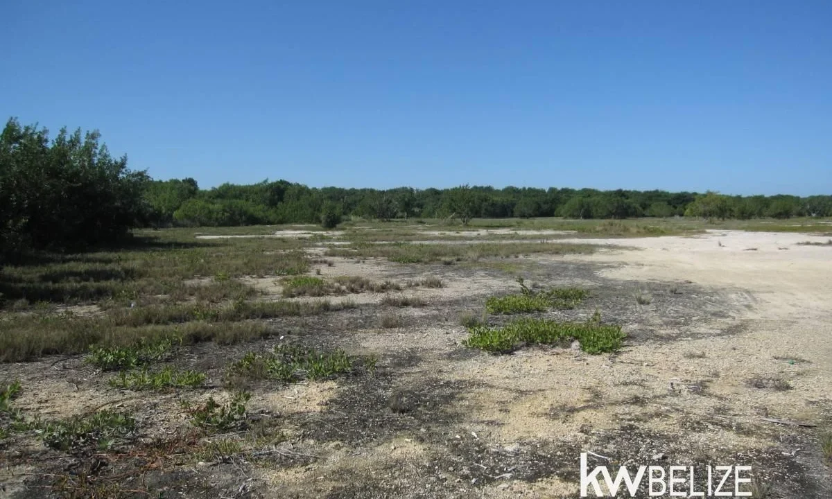 kellerwilliamsbelize-l112509cz-21