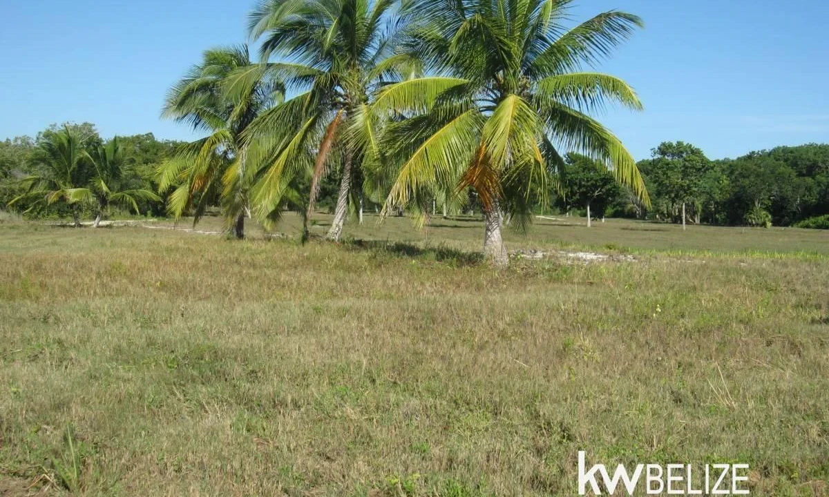 kellerwilliamsbelize-l112509cz-22