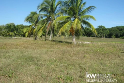 kellerwilliamsbelize-l112509cz-22