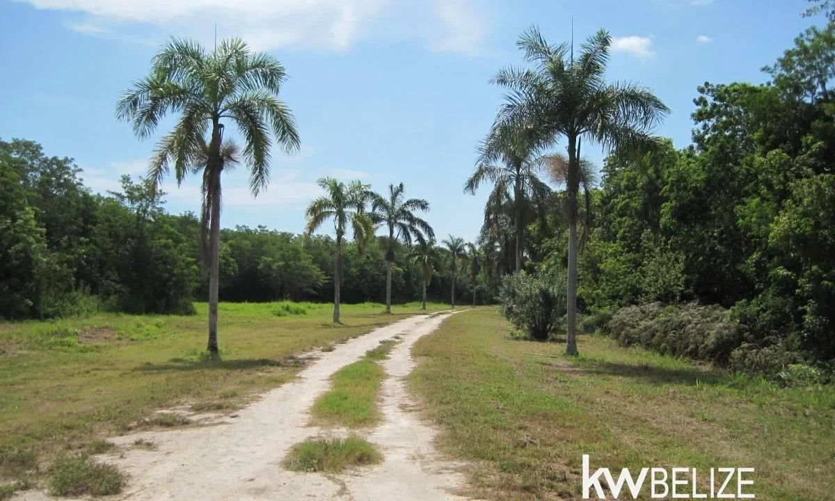 kellerwilliamsbelize-l112509cz-26