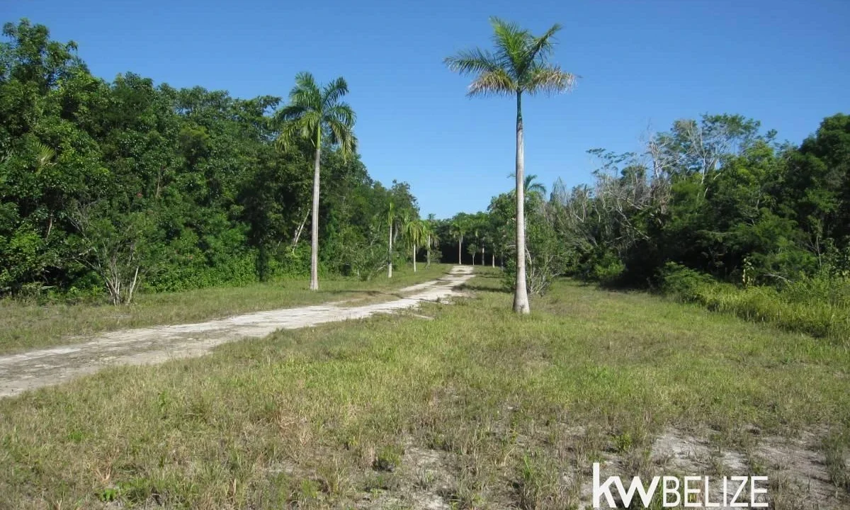 kellerwilliamsbelize-l112509cz-27