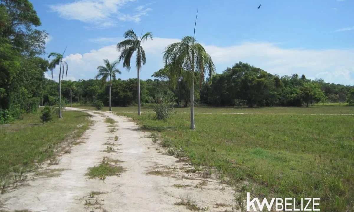 kellerwilliamsbelize-l112509cz-28