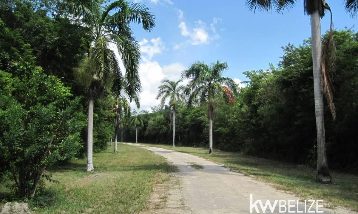 kellerwilliamsbelize-l112509cz-29