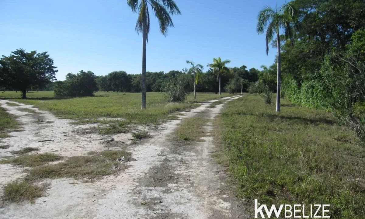 kellerwilliamsbelize-l112509cz-30