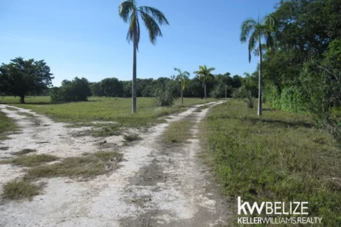 kellerwilliamsbelize-l112509cz-30