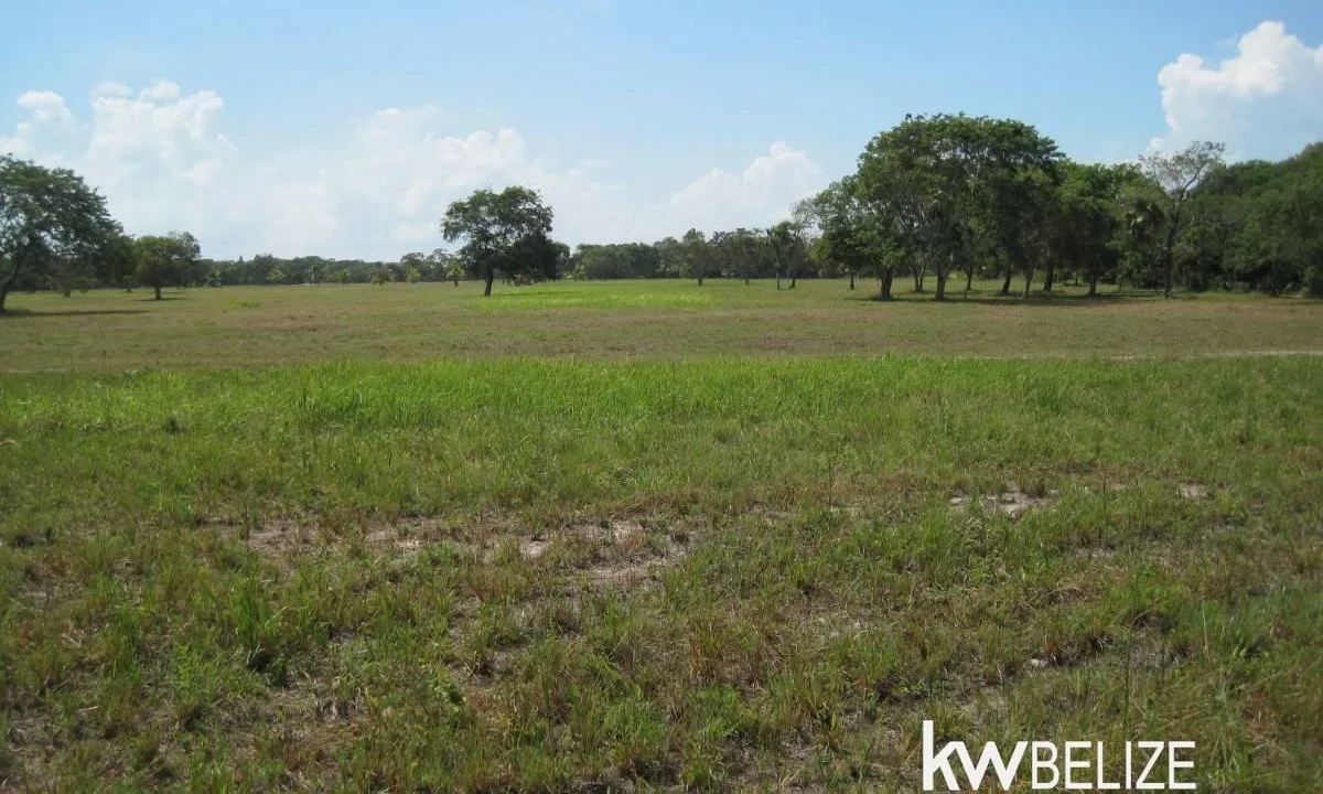 kellerwilliamsbelize-l112509cz-32