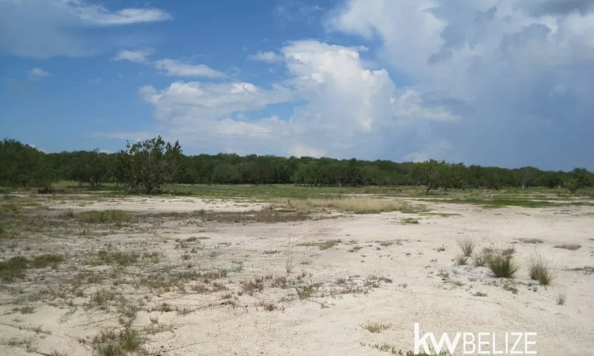 kellerwilliamsbelize-l112509cz-33