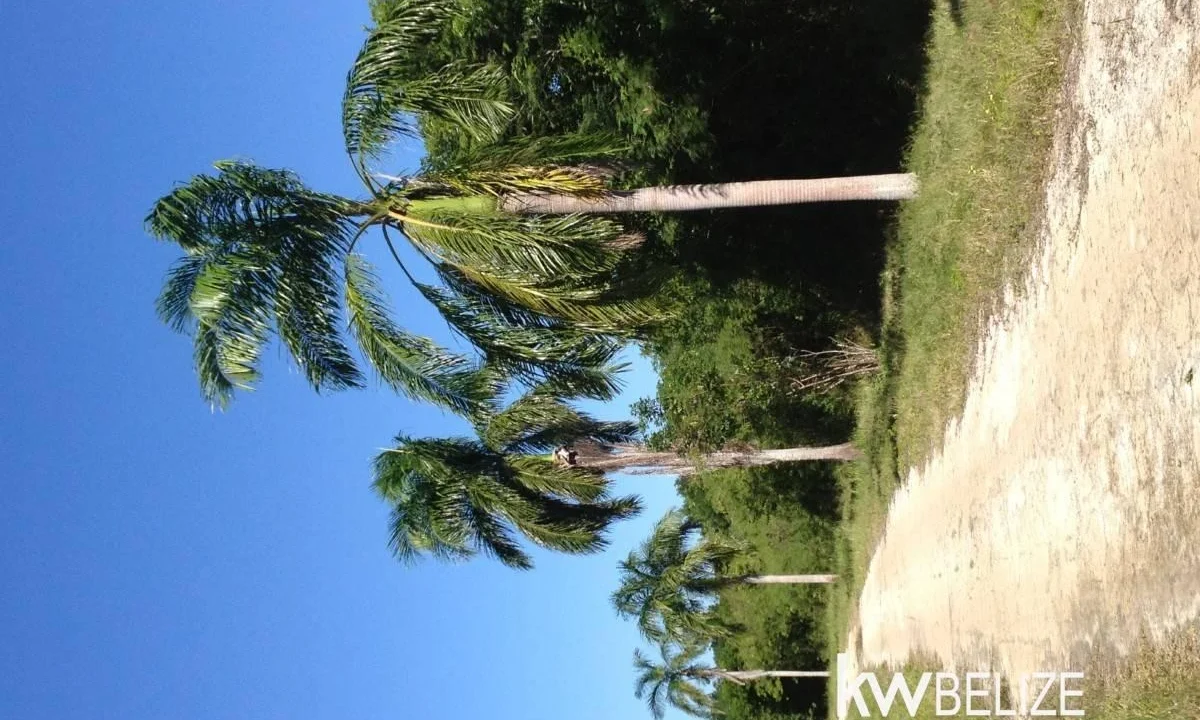 kellerwilliamsbelize-l112509cz-38