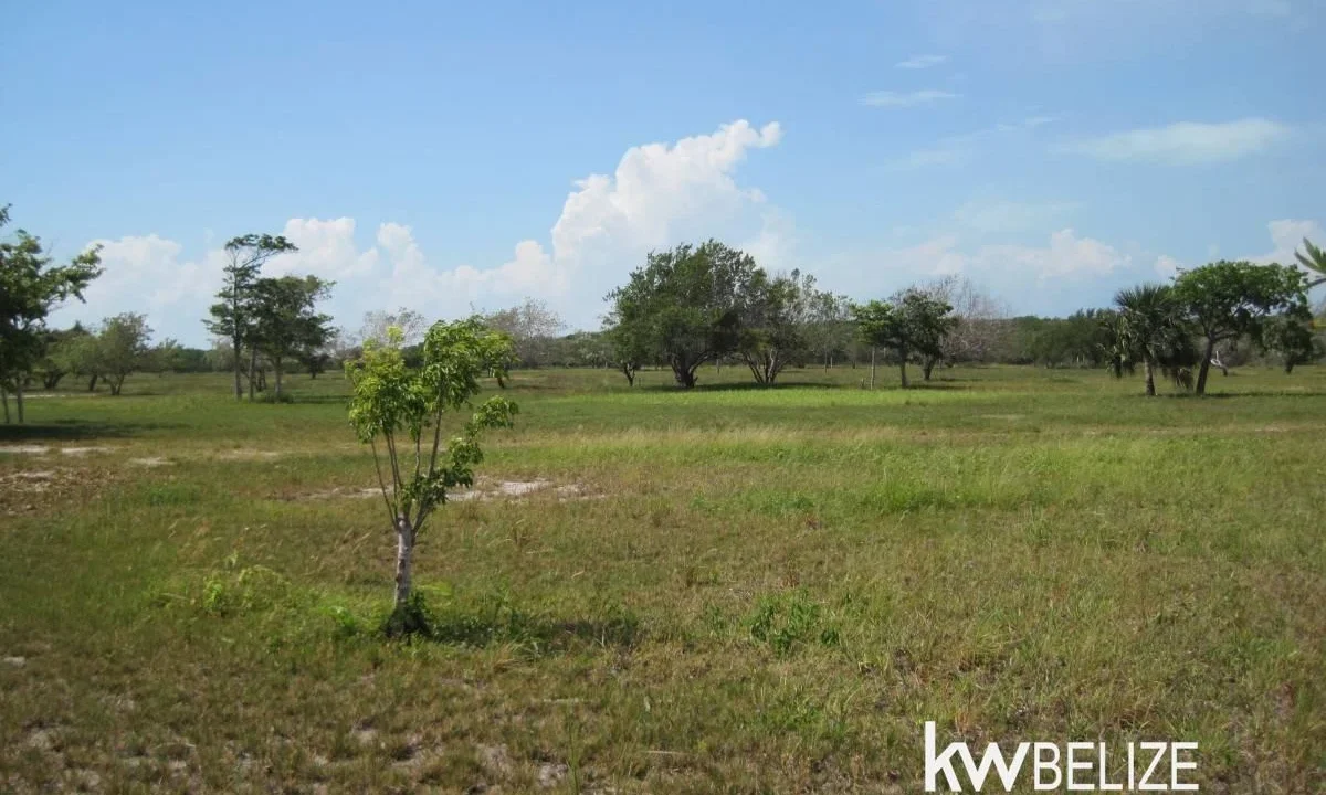 kellerwilliamsbelize-l112509cz-39