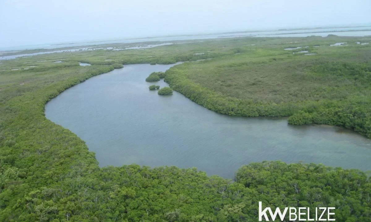 kellerwilliamsbelize-l112509sp-02