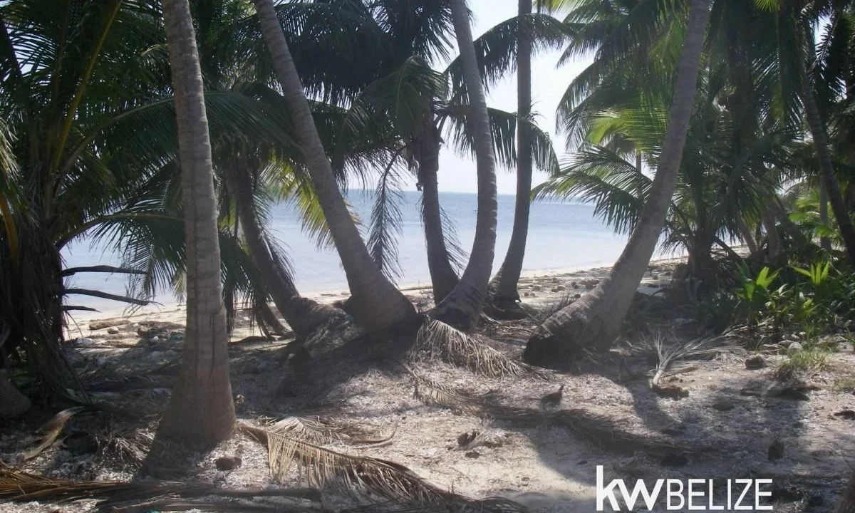 kellerwilliamsbelize-l112509sp-04