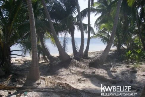 kellerwilliamsbelize-l112509sp-04