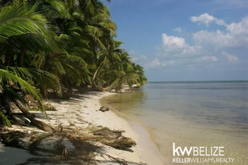 kellerwilliamsbelize-l112509sp-06