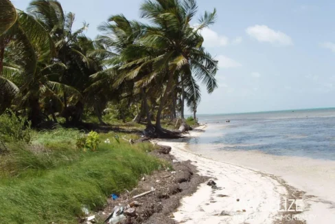 kellerwilliamsbelize-l112509sp-13
