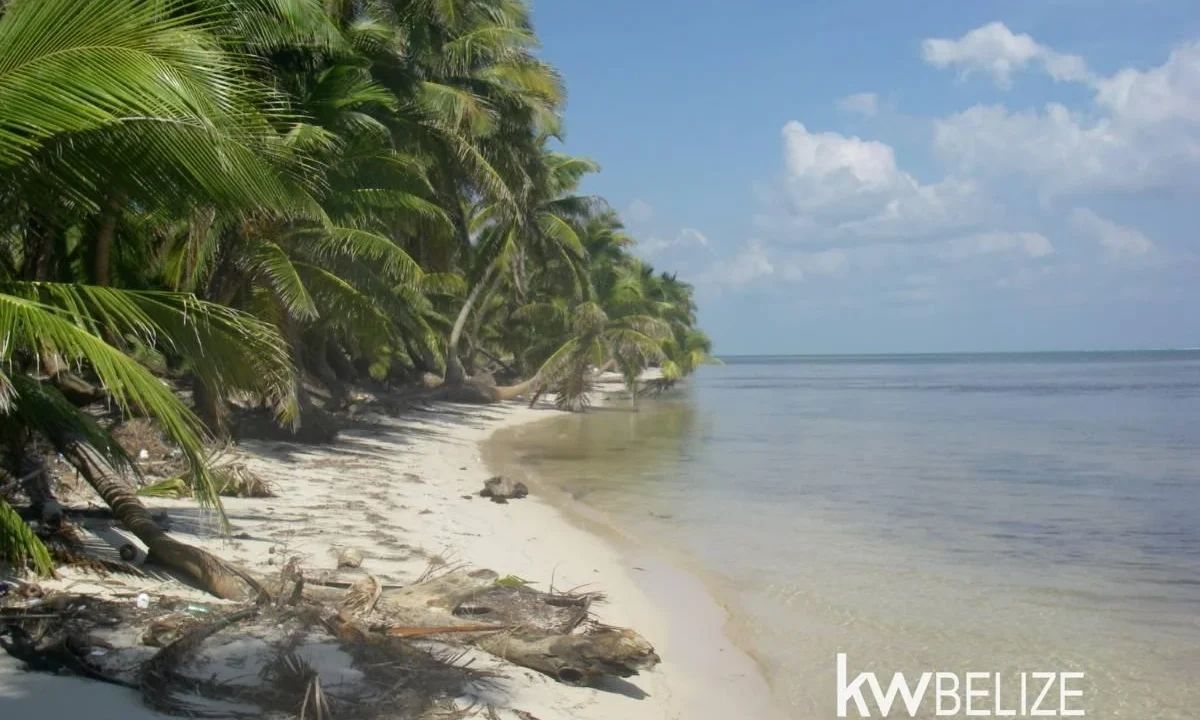 kellerwilliamsbelize-l112509sp-16