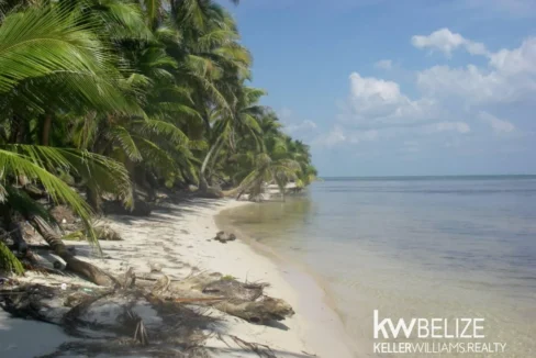 kellerwilliamsbelize-l112509sp-16