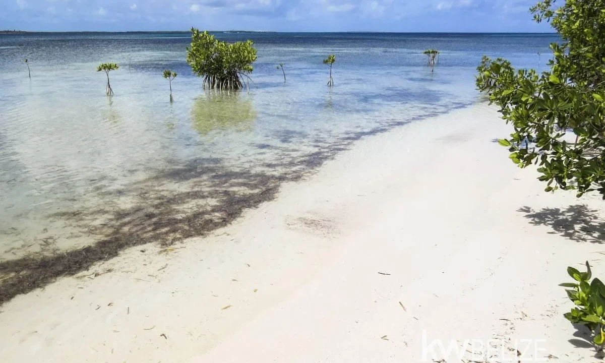 kellerwilliamsbelize-l272603sp-05