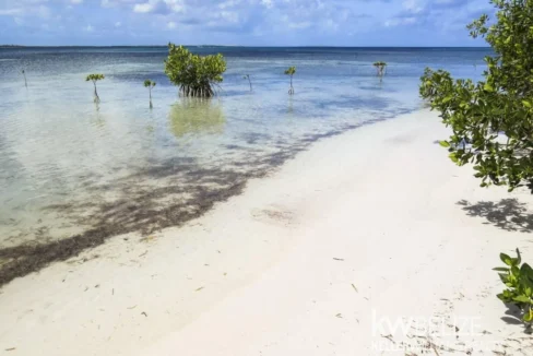 kellerwilliamsbelize-l272603sp-05