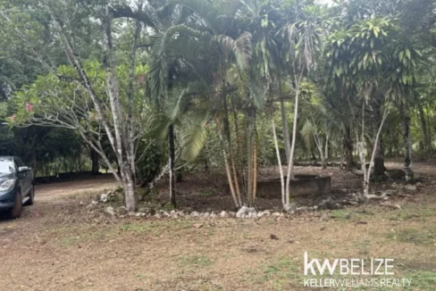 kellerwilliamsbelize-lr022607b-11