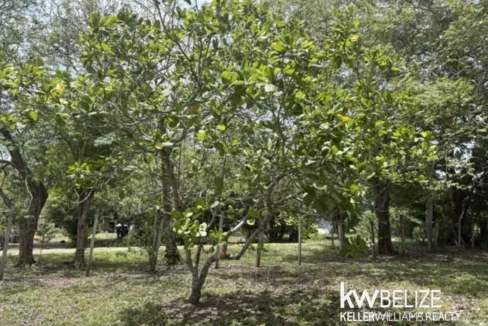 kellerwilliamsbelize-lr022607b-19